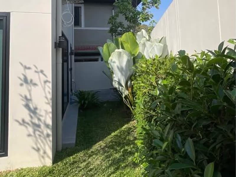 3 Bed House for Rent and Sale in Mueang Chiang Mai District