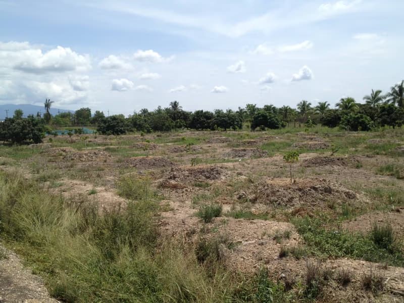  Land for Sale in Mae Wang District