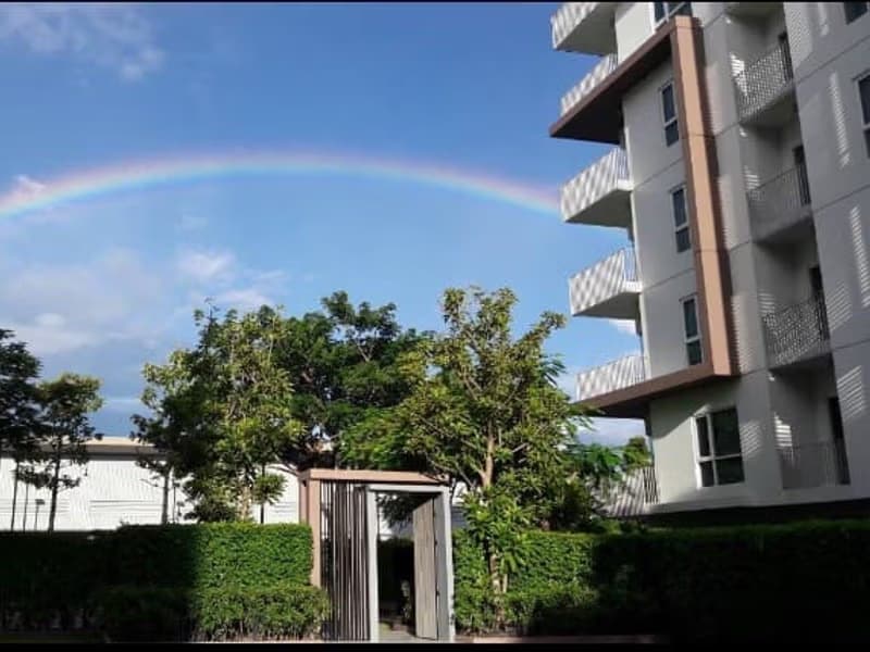 Code 554 North 8 condo for rent