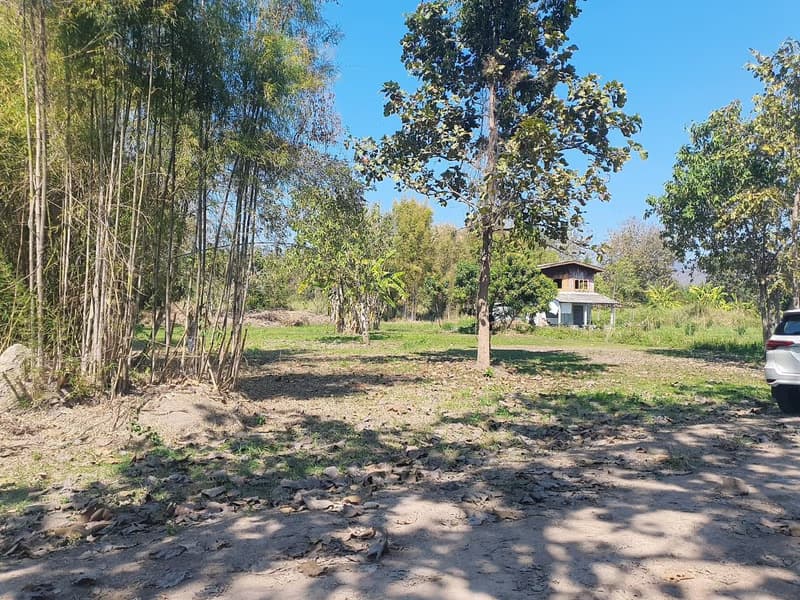 Land for Sale in อำเภอสันทราย