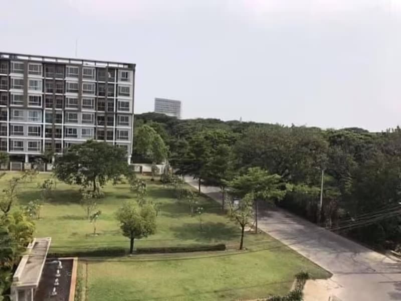 1 Bedroom Condo