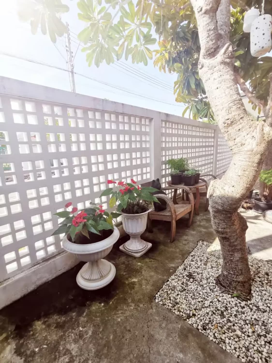 3 Bedroom House - Image 6