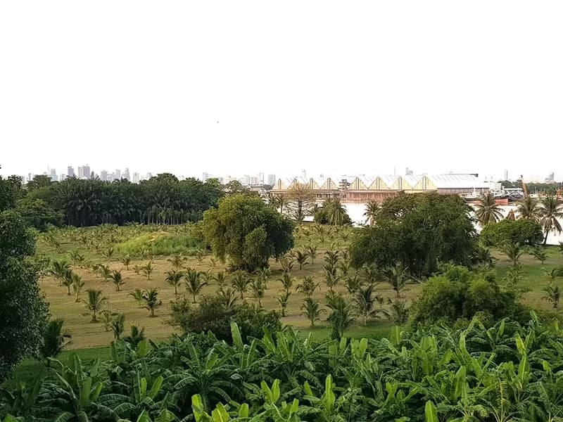 Condo for Sale at Supalai Riva Grande