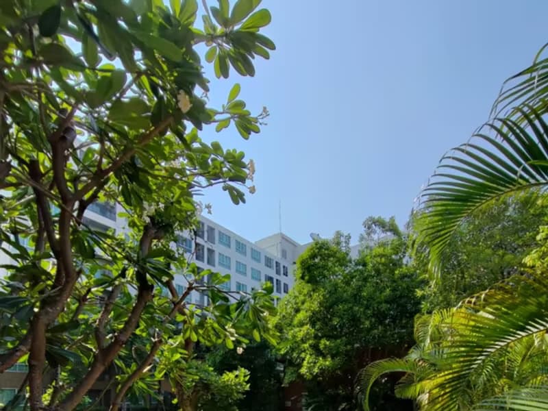 1 Bedroom Condo