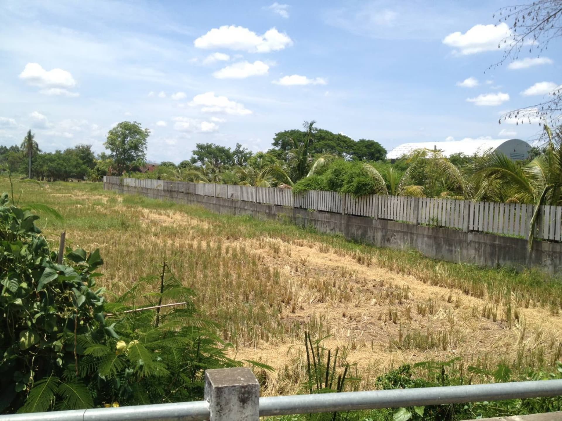  land 用于 出售 在 Saraphi - Image 2