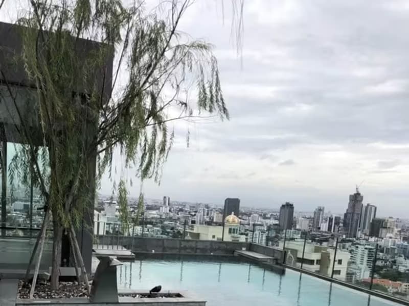 1 Bedroom Condo