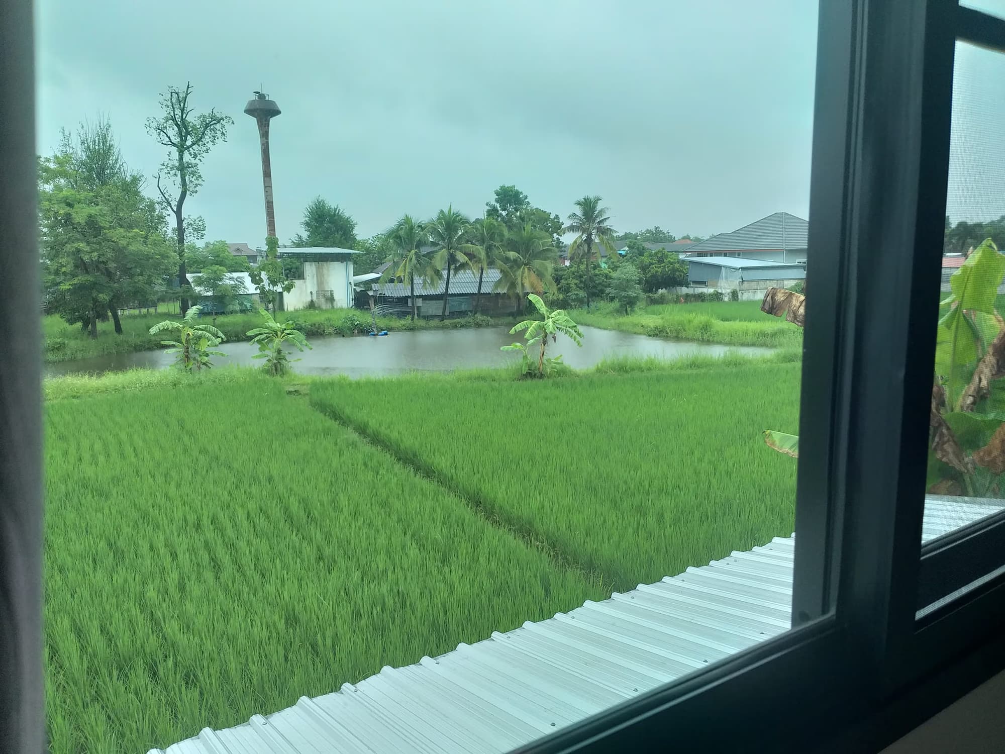 2 ห้องนอน House สำหรับ จำหน่าย ใน หางดง - Image 9