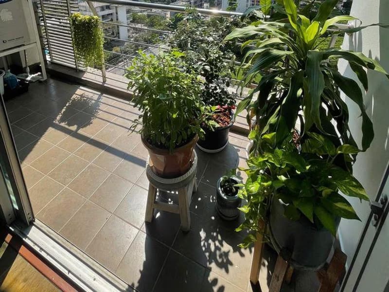2 Bed Condo for Sale in Watthana