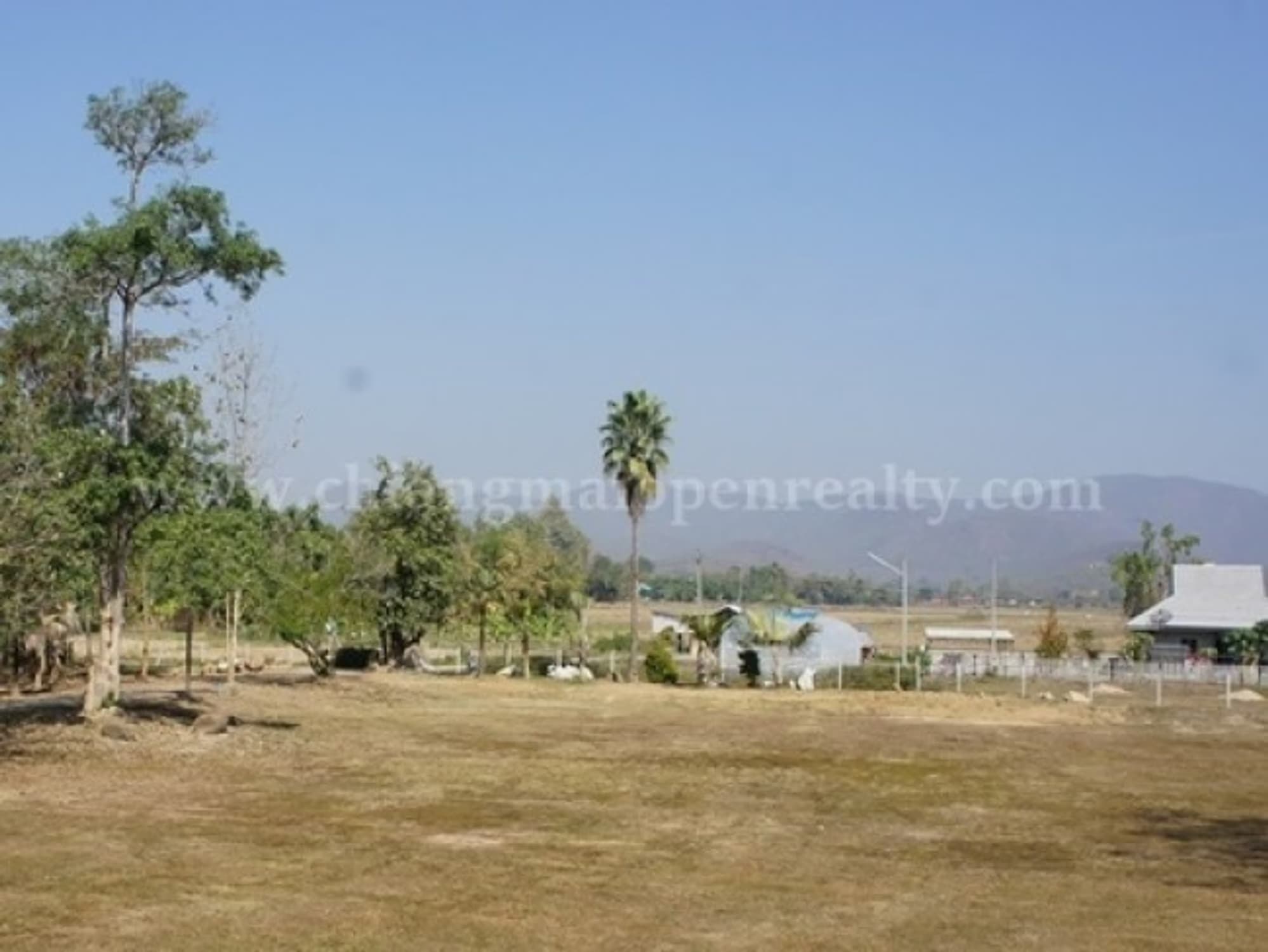  land 用于 出售 在 Doi Saket District - Image 14