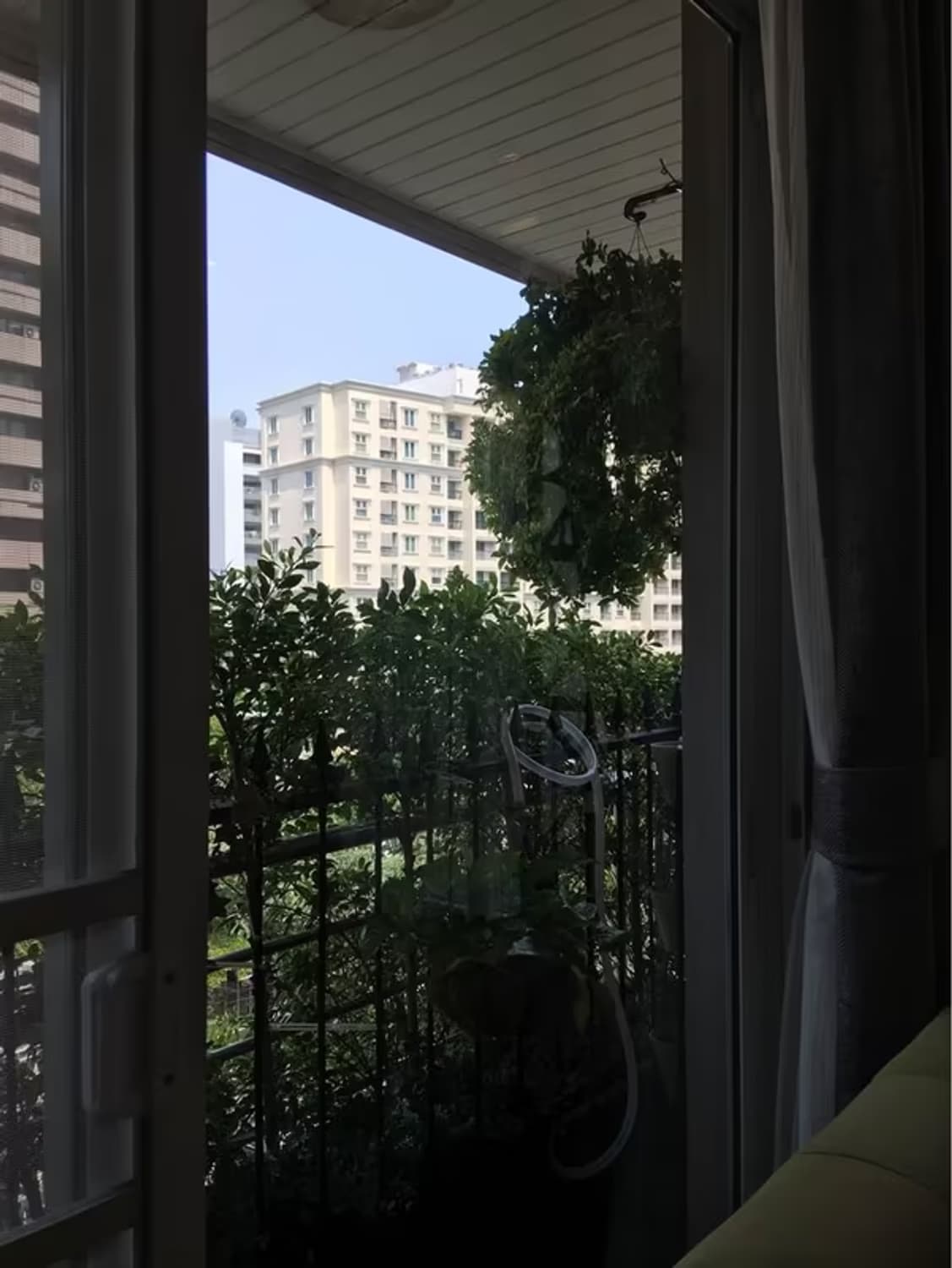  - Image 12