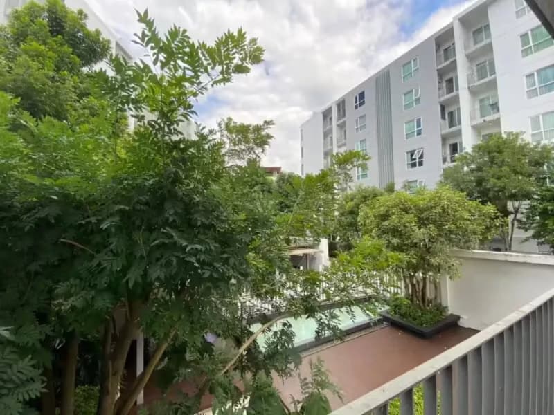 1 Bedroom Condo