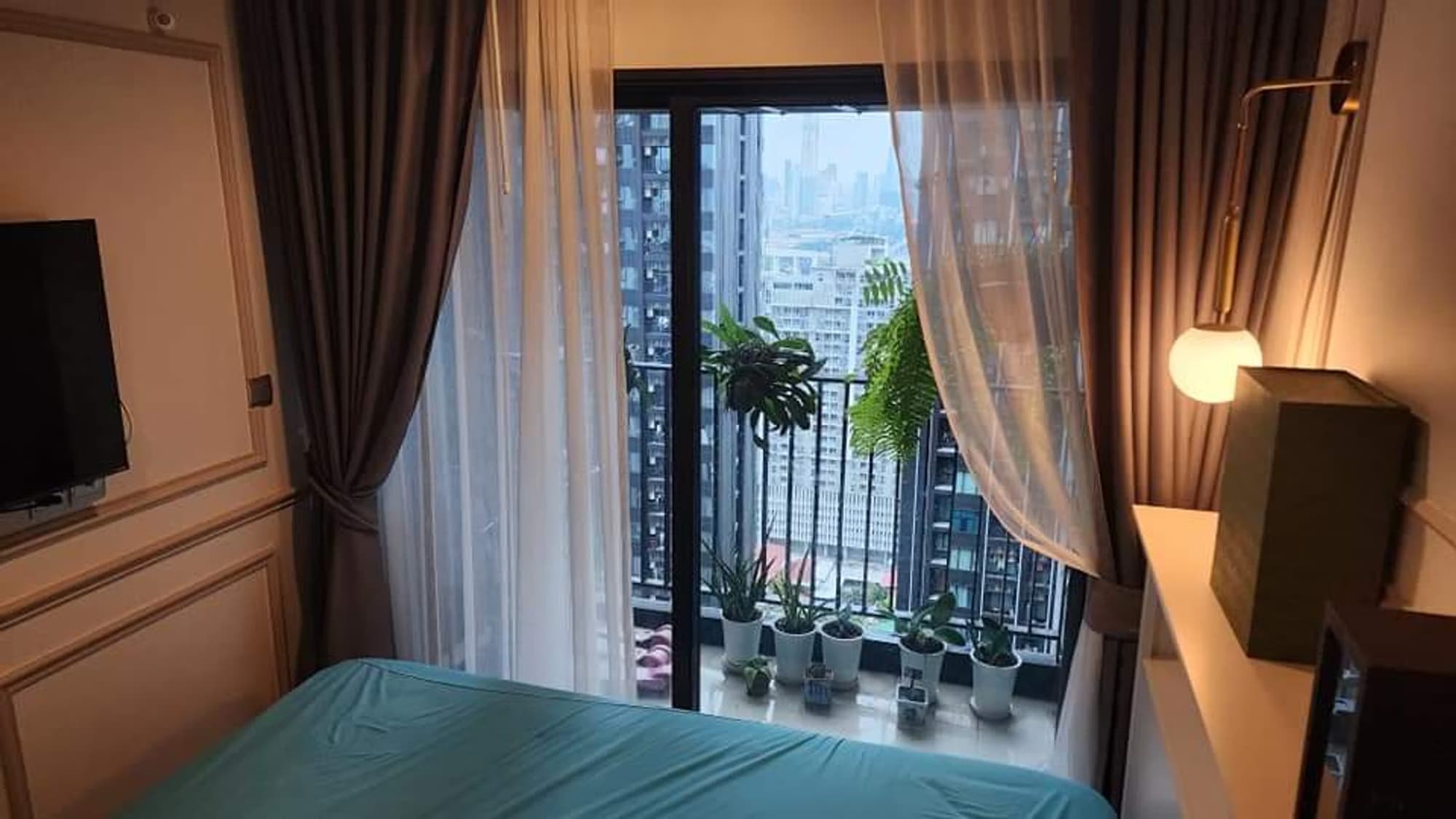  - Image 6
