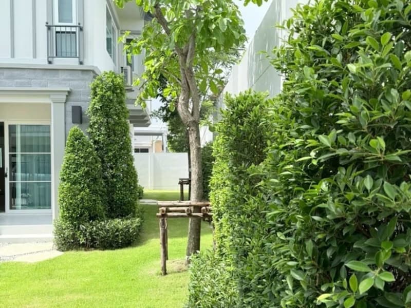4 Bed House for Rent in Bang Phli