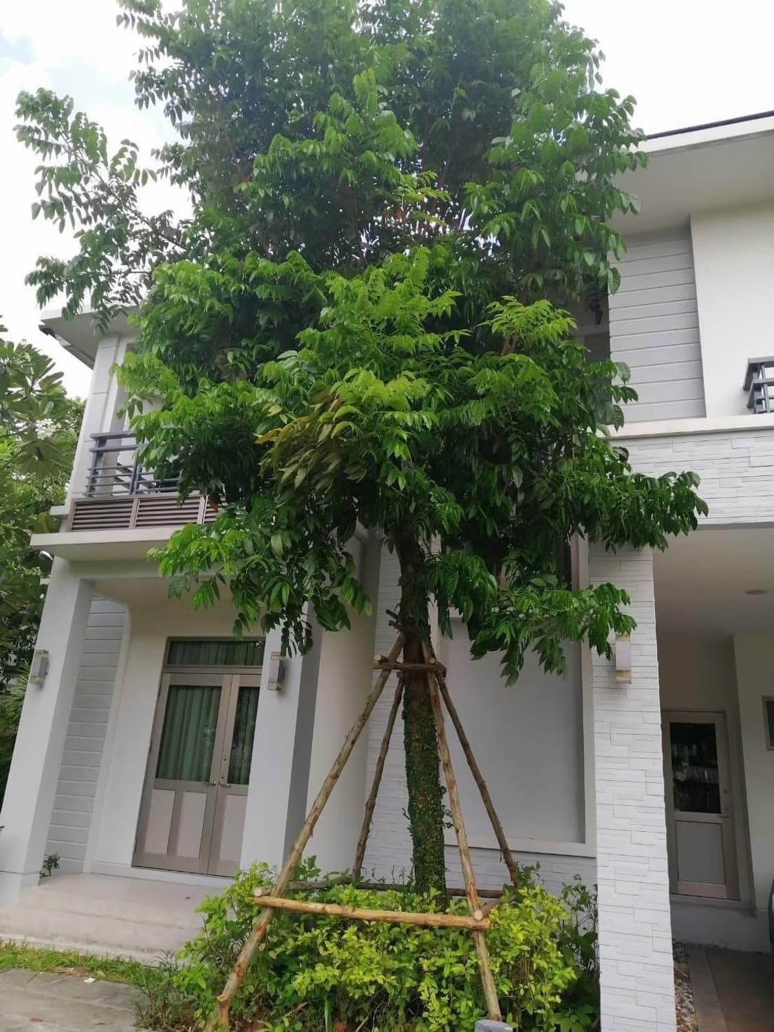 House for Sale at  Perfect Masterpeice Rama 9 - Image 25