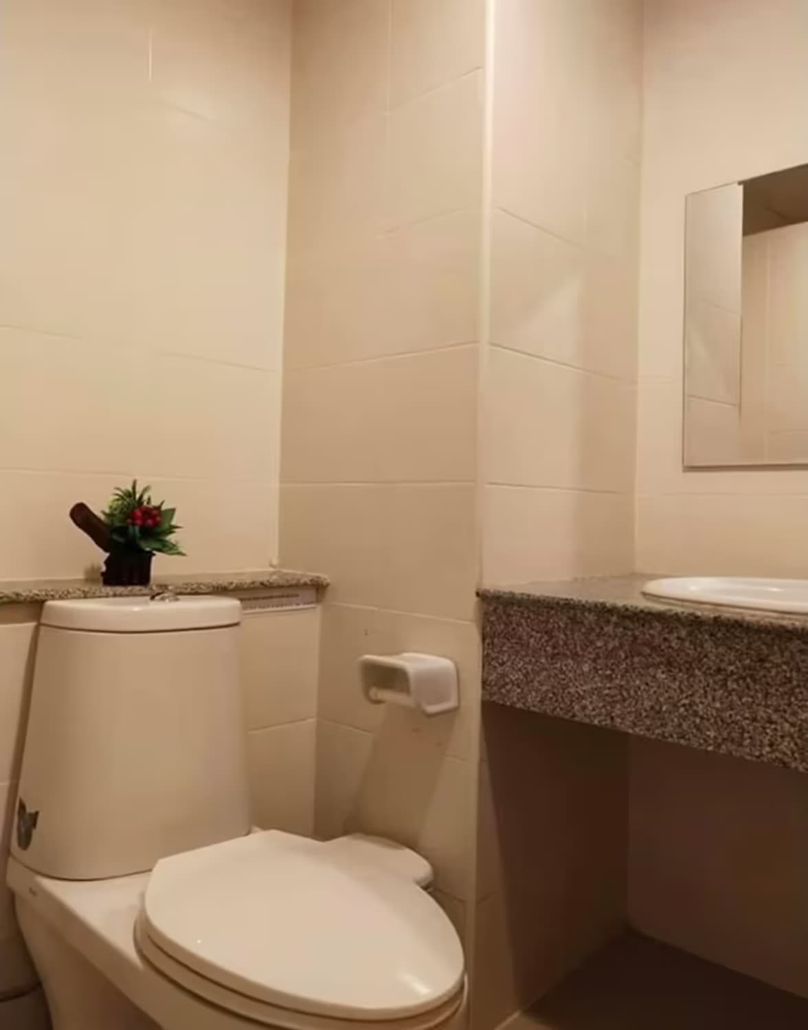  - Image 6