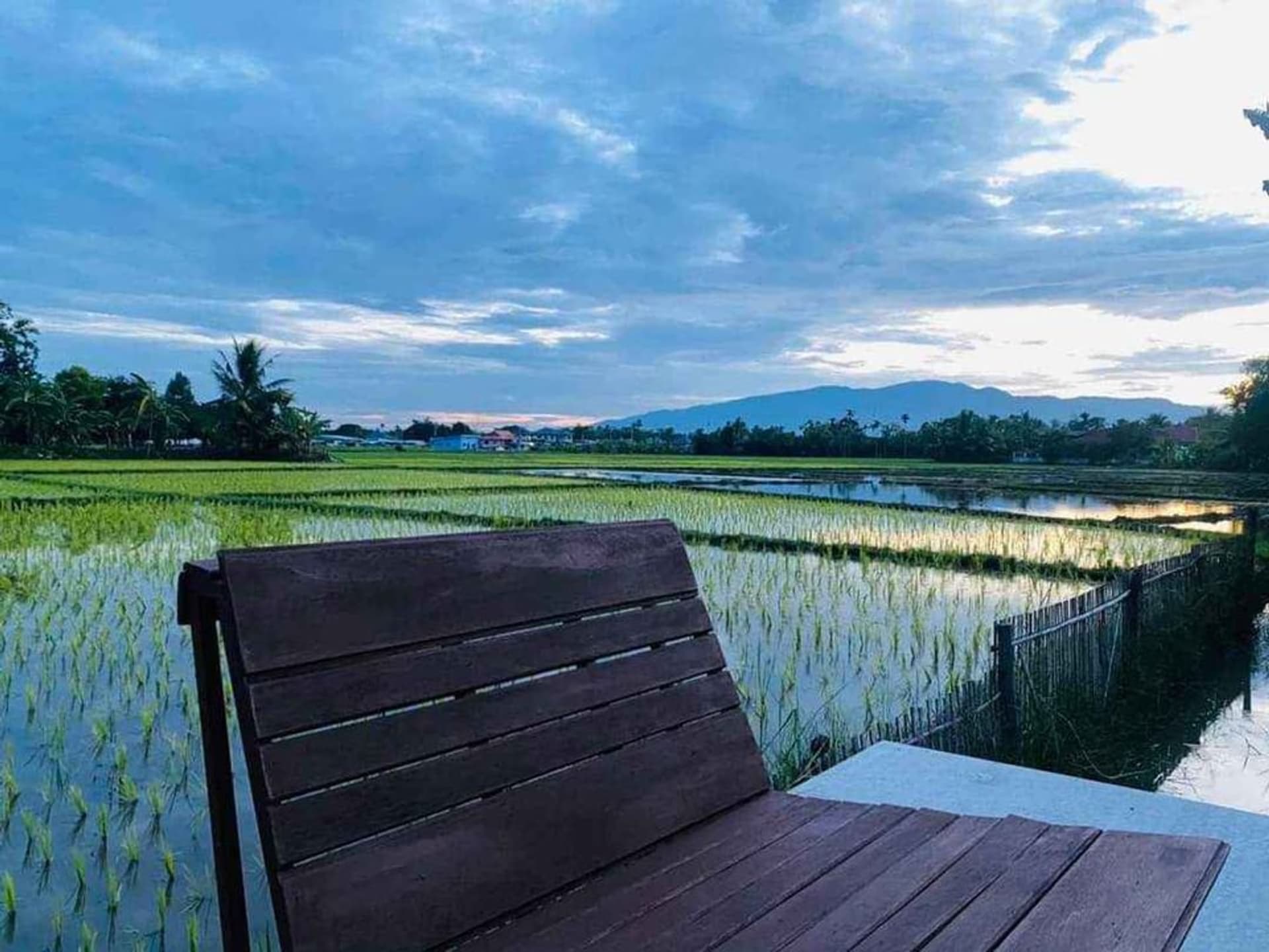 Resort at Sansai For Rent - Image 5