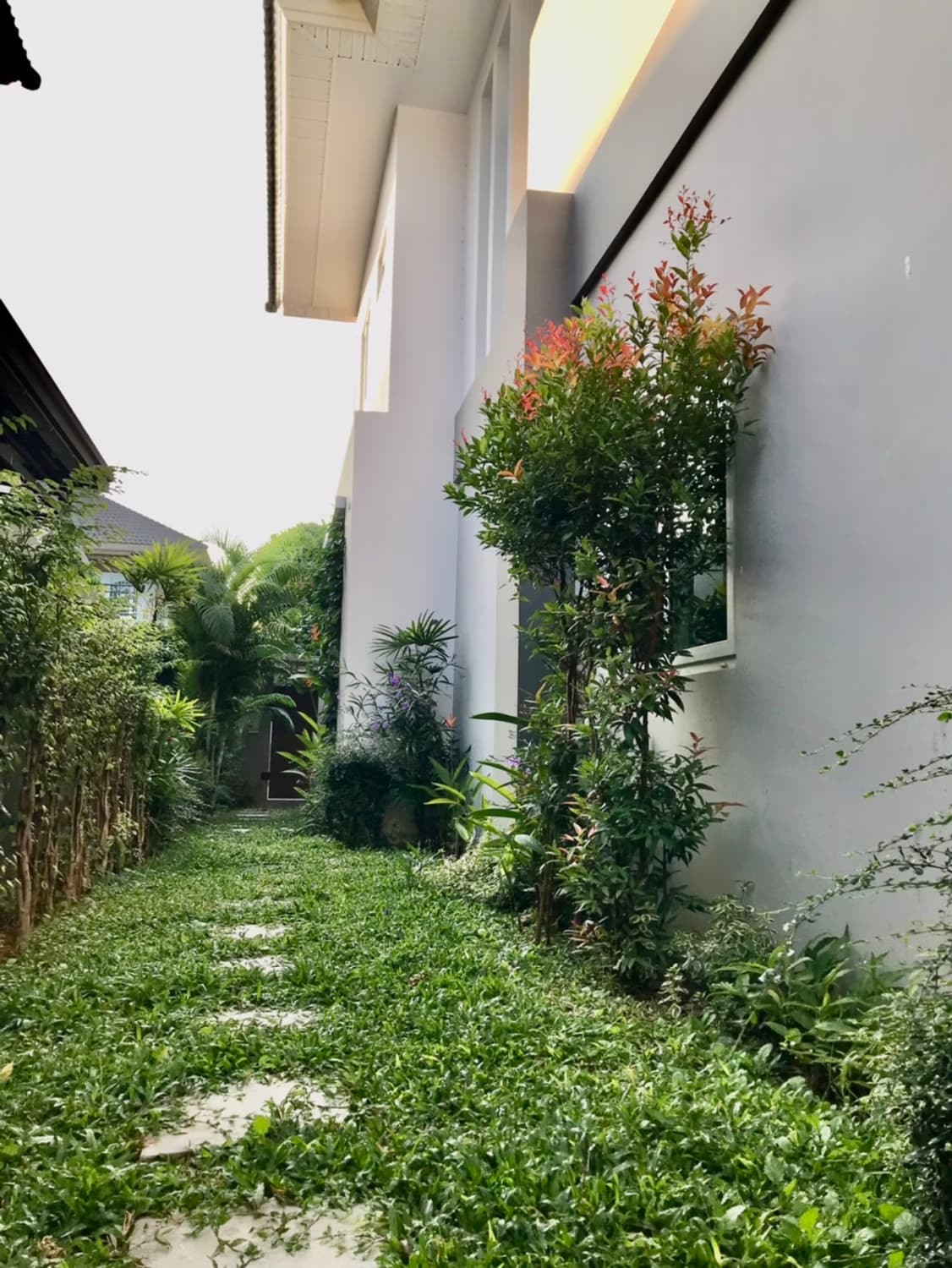 3 Bed House for Rent in Hang Dong - Image 19