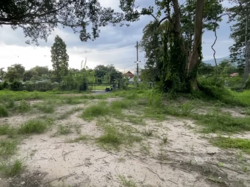  Land for Sale in Mueang Chiang Mai
