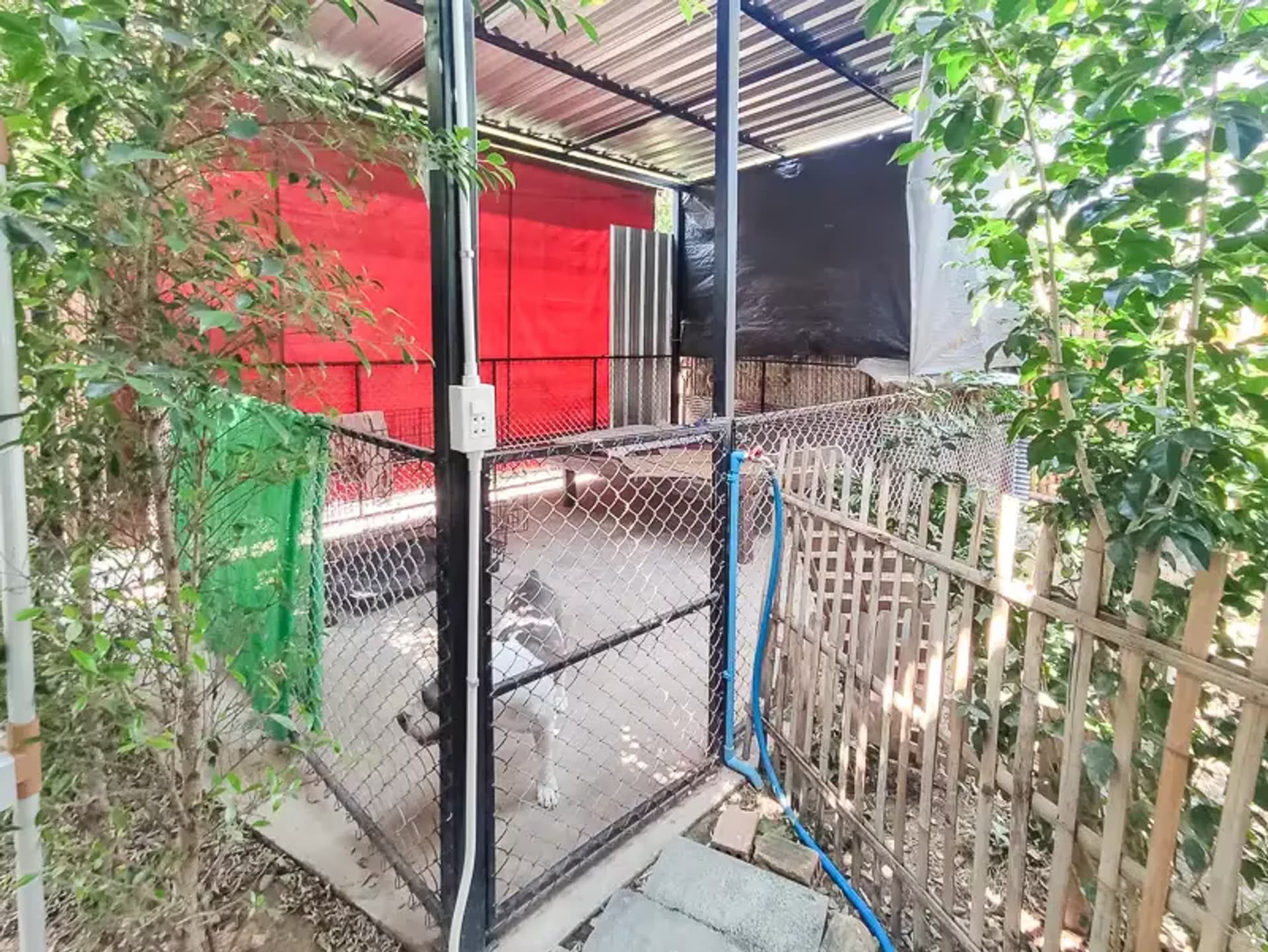 4 Bedroom House - Image 15