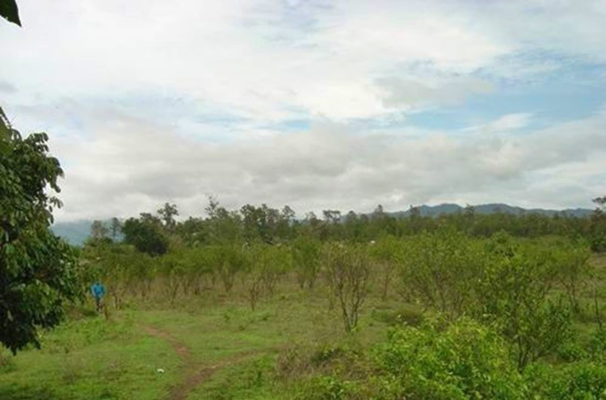  land สำหรับ ขาย ใน Mae Taeng District - Image 6