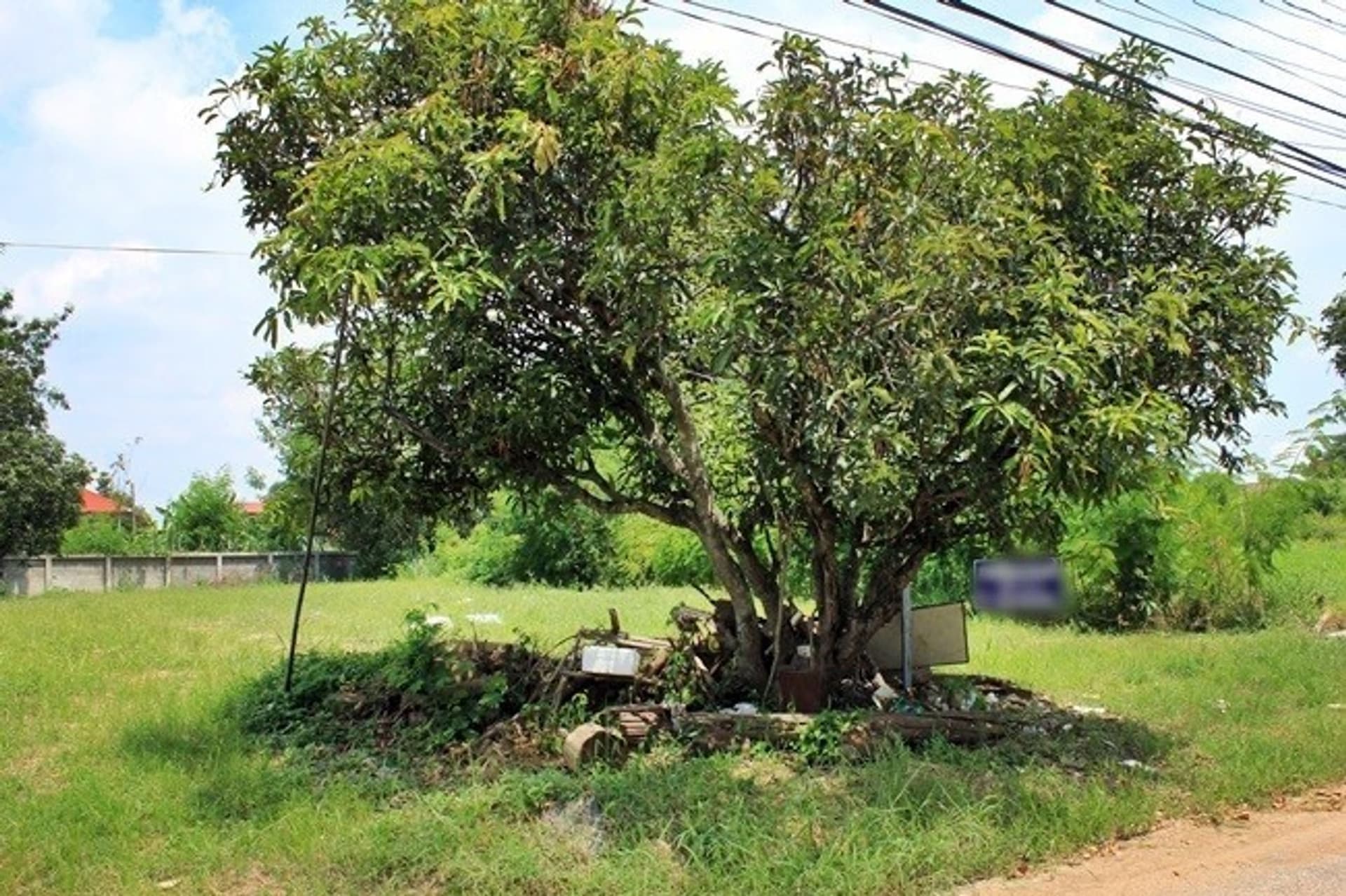  land สำหรับ ขาย ใน Pa Daet District - Image 2