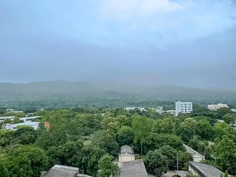 2 Bedroom Condo
