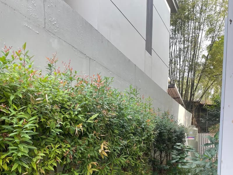 Townhouse for Sale in Suthep, Mueang Chiang Mai