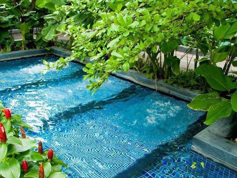 Condo for Rent at Circle Condominium