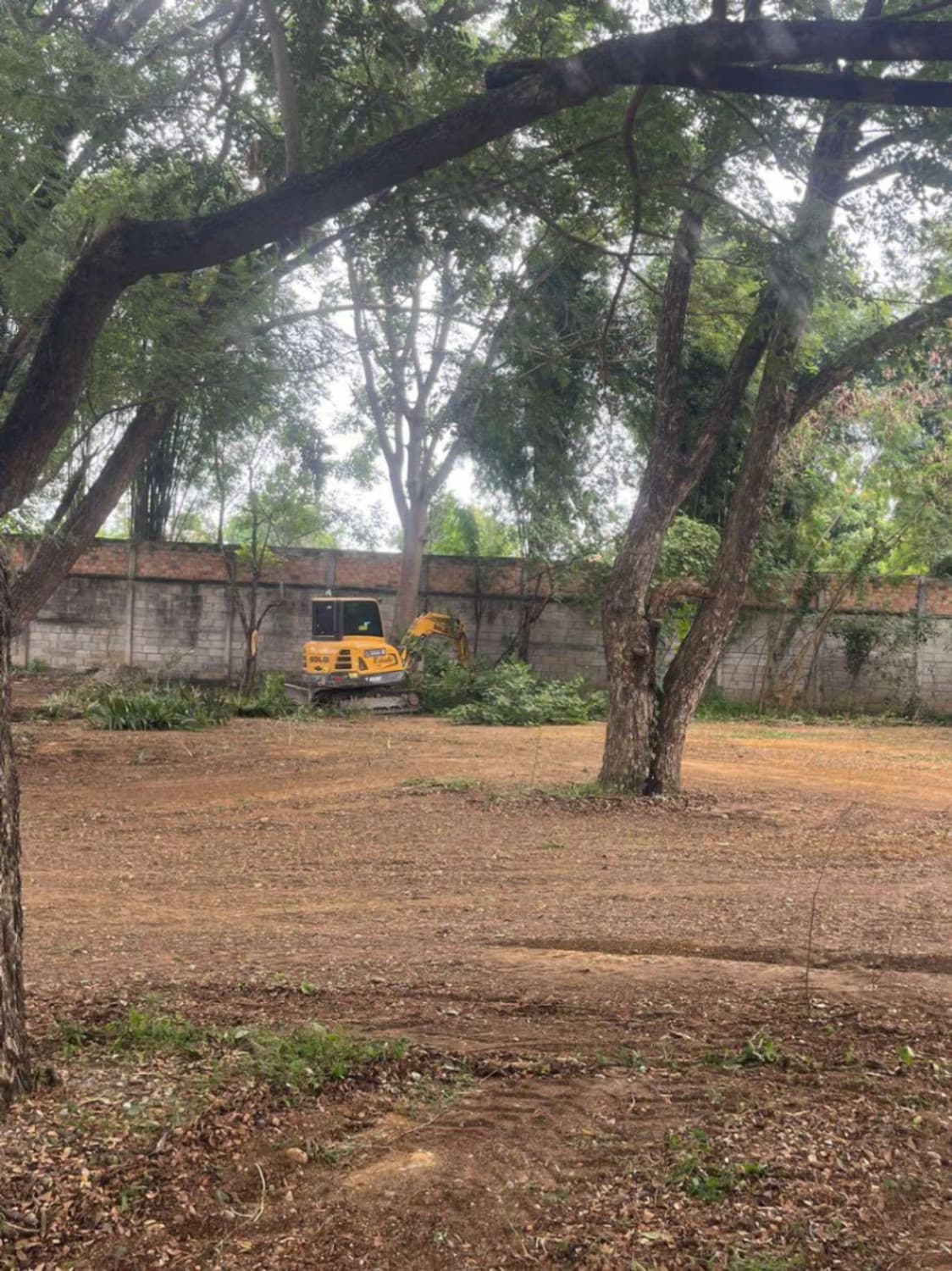  land 用于 出售 在 San Sai District - Image 2