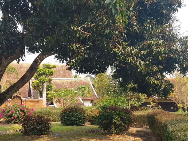 3 Bed House for Rent and Sale in Mae Rim