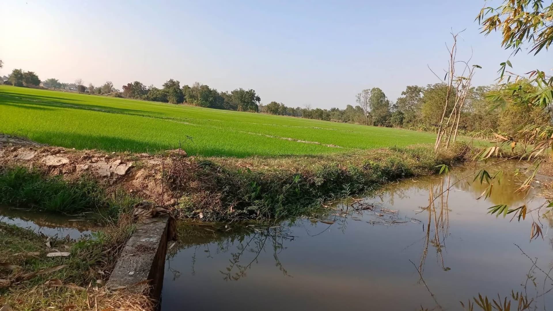  land สำหรับ ขาย ใน Doi Saket District - Image 9