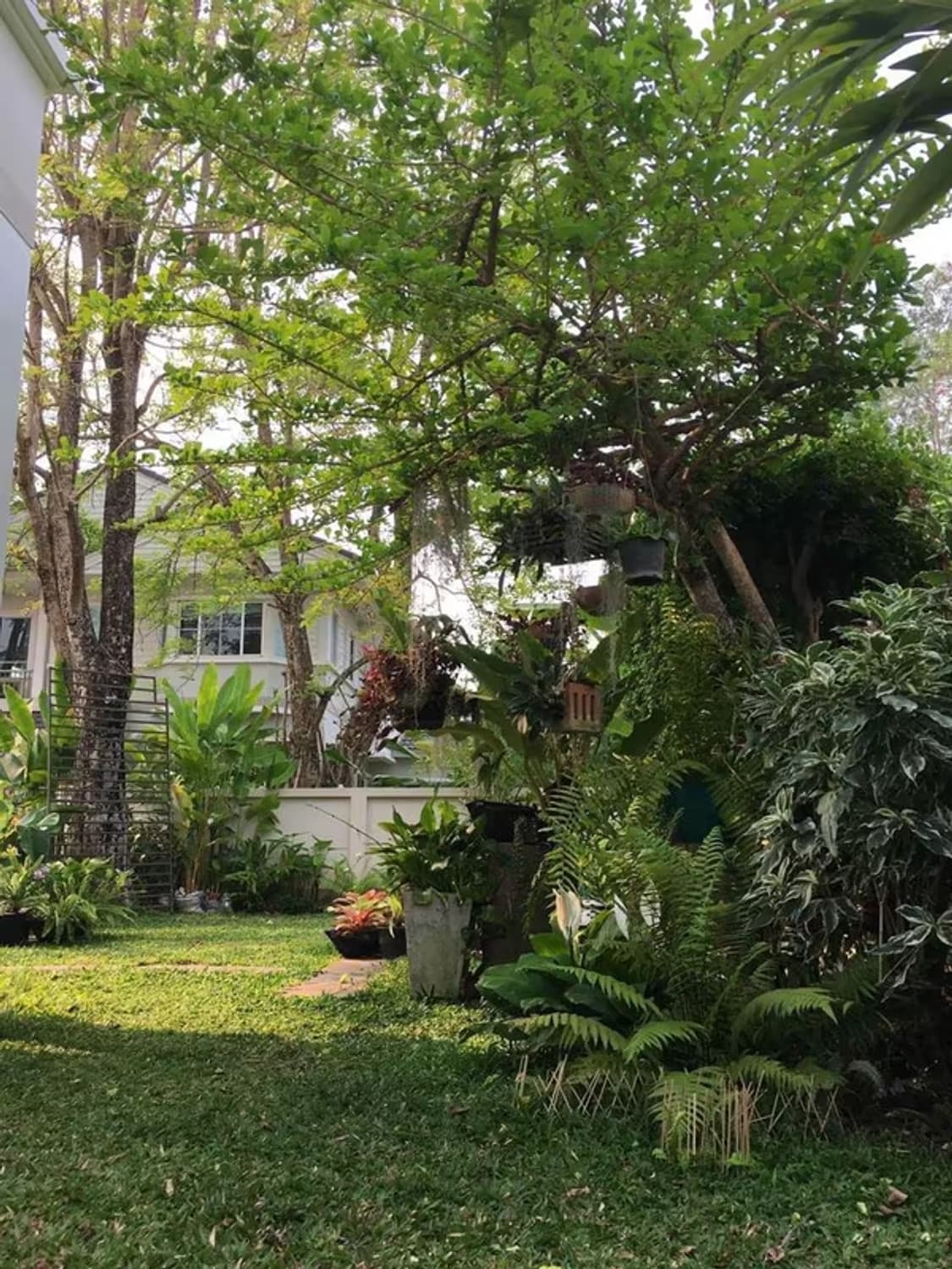  - Image 7