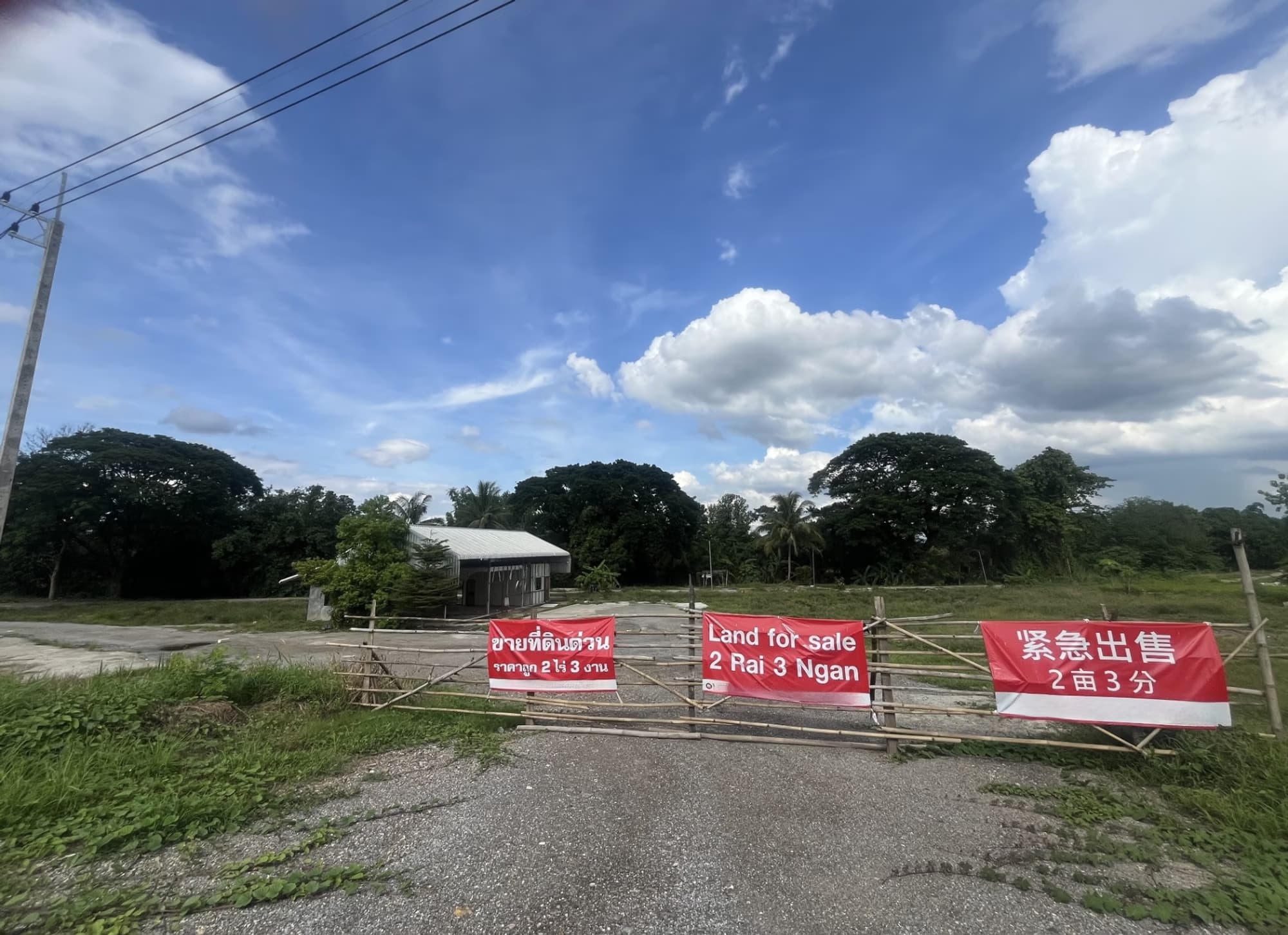  land สำหรับ ขาย ใน San Pa Tong District - Image 1