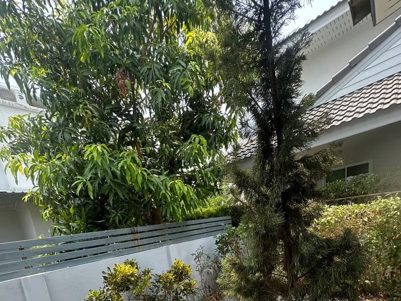 3 Bed House for Rent in Hang Dong
