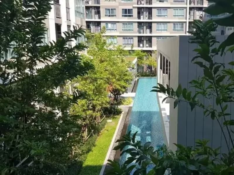 1 Bedroom Condo