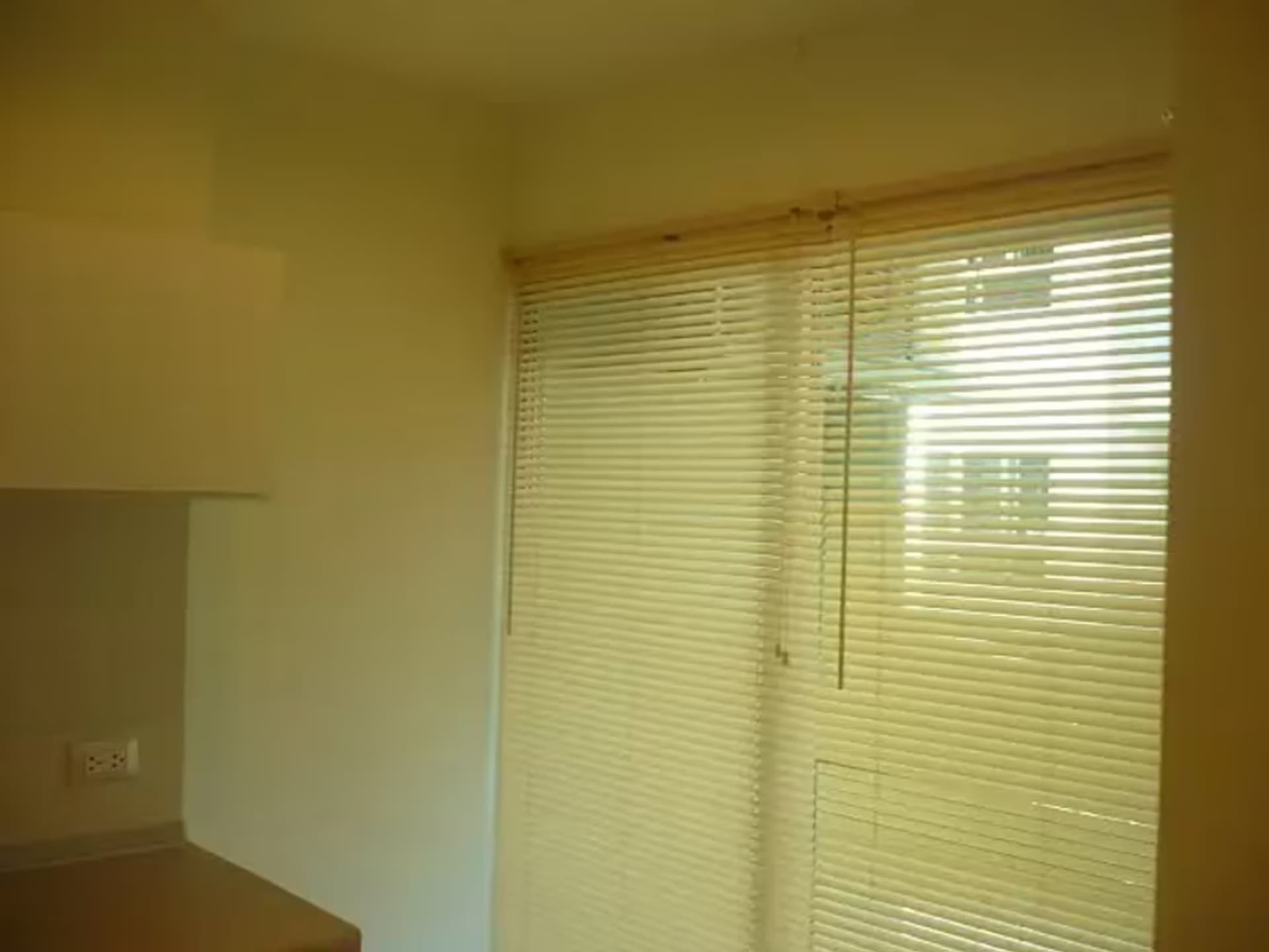 1 Bedroom Condo - Image 1