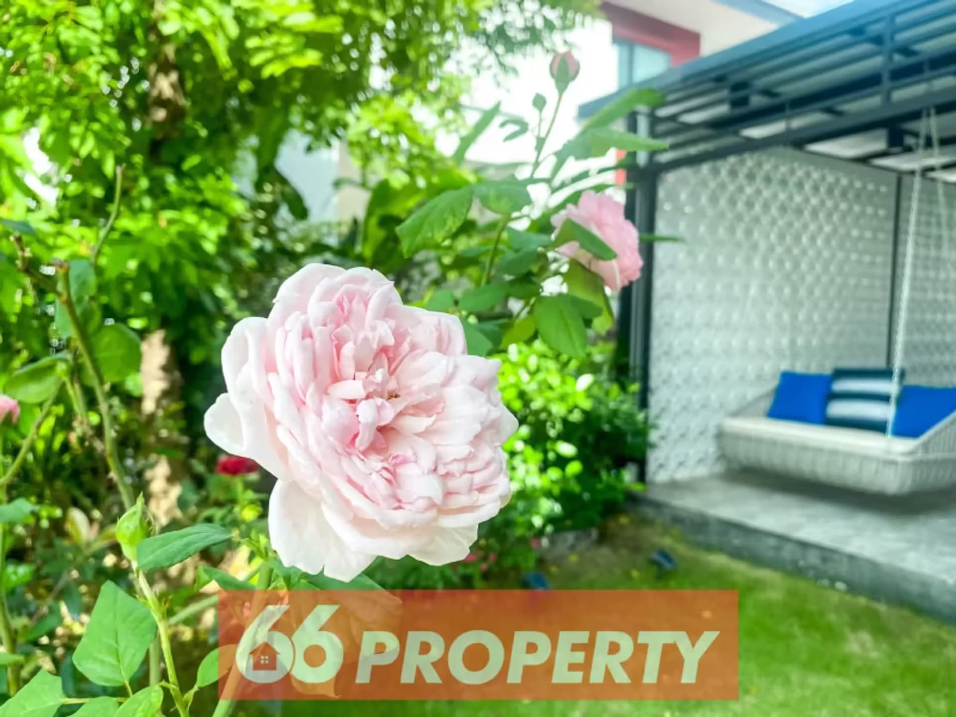 3 Bedroom House - Image 22