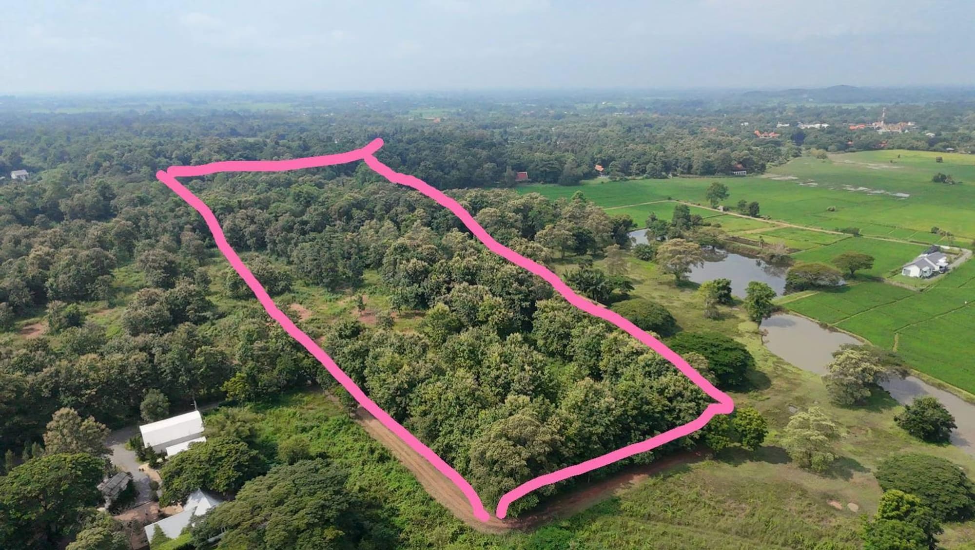  land สำหรับ ขาย ใน Doi Saket District - Image 2