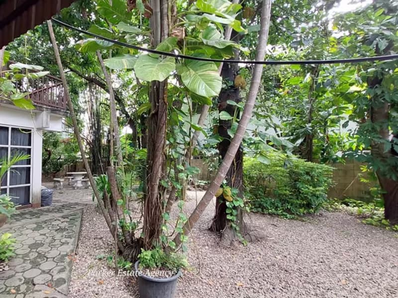 House for Sale in Chang Phueak, Mueang Chiang Mai.