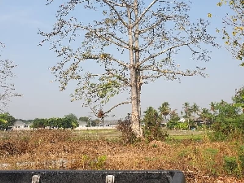 Discover the perfect plot for your dream home. 
