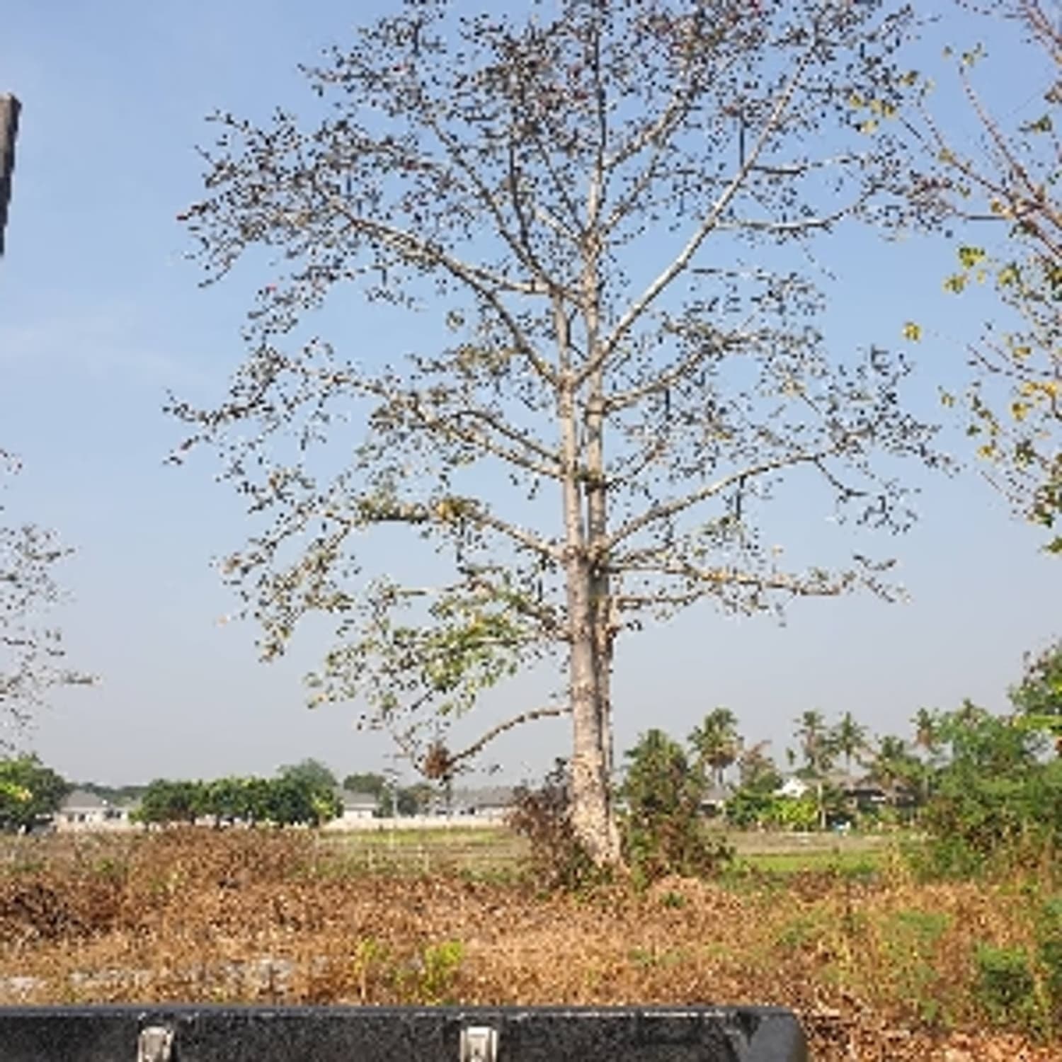 Discover the perfect plot for your dream home.  - Image 1