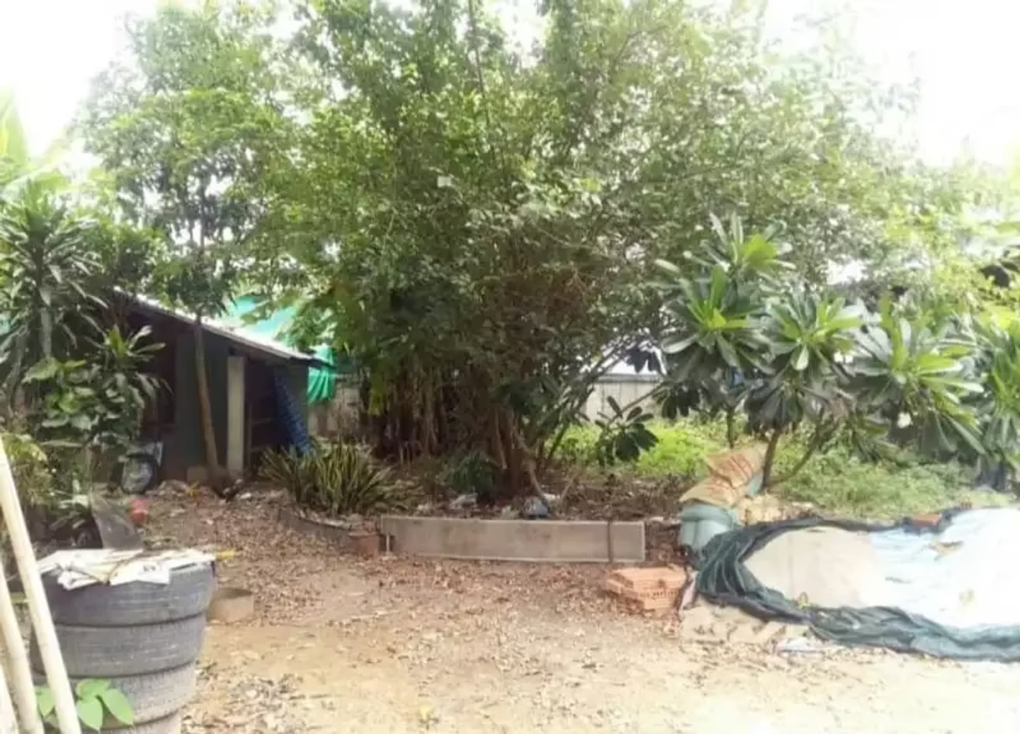 Studio for Sale in  - Image 1