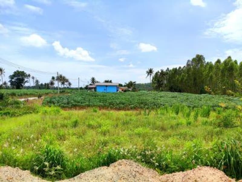  Land for Sale in Bang Lamung District