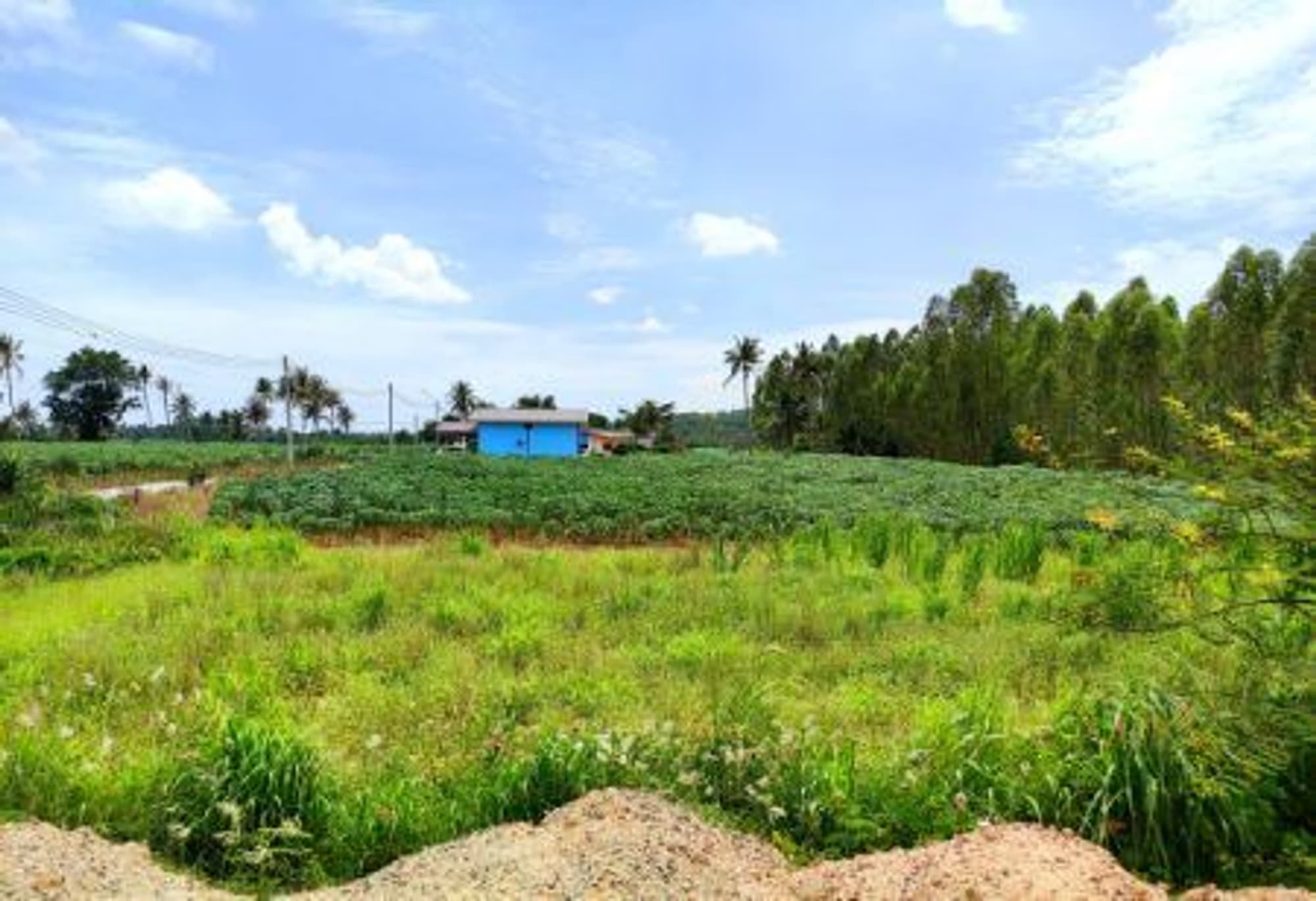  Land for Sale in Bang Lamung District - Image 3