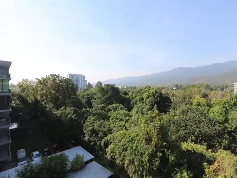 1 Bedroom Condo