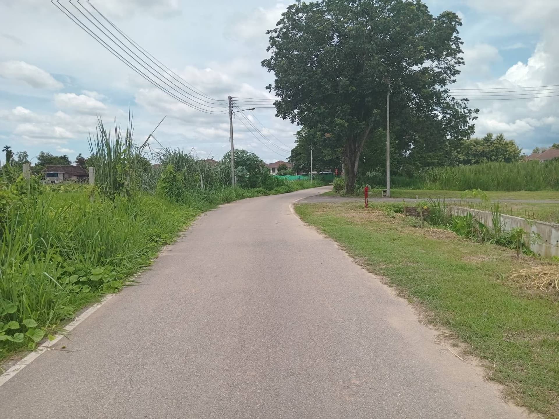  land สำหรับ ขาย ใน Mueang Chiang Mai District - Image 6