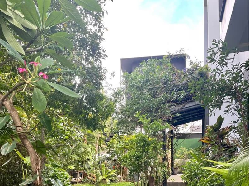 3 Bed Townhouse for Rent in Hang Dong