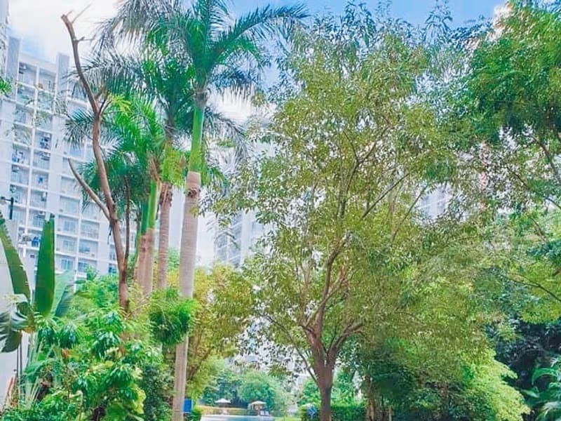 The Parkland Srinakarin - 2 Bed Condo for Rent *PARK11088