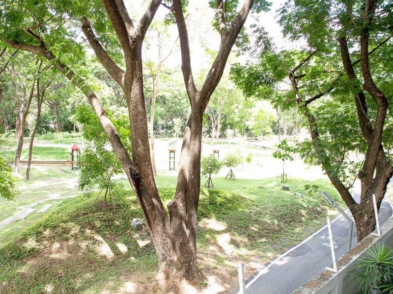 1 Bed Condo for Rent in Mueang Chiang Mai
