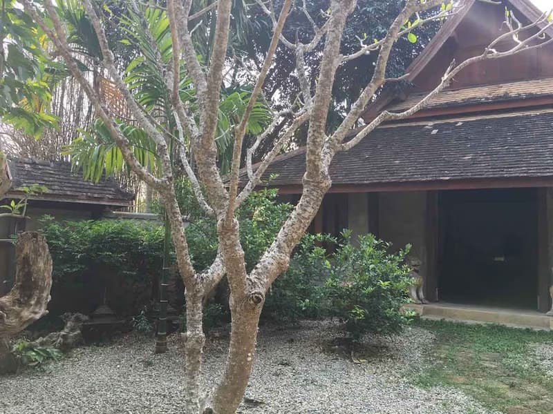 Code 1336 Resort-style house close to Ping river